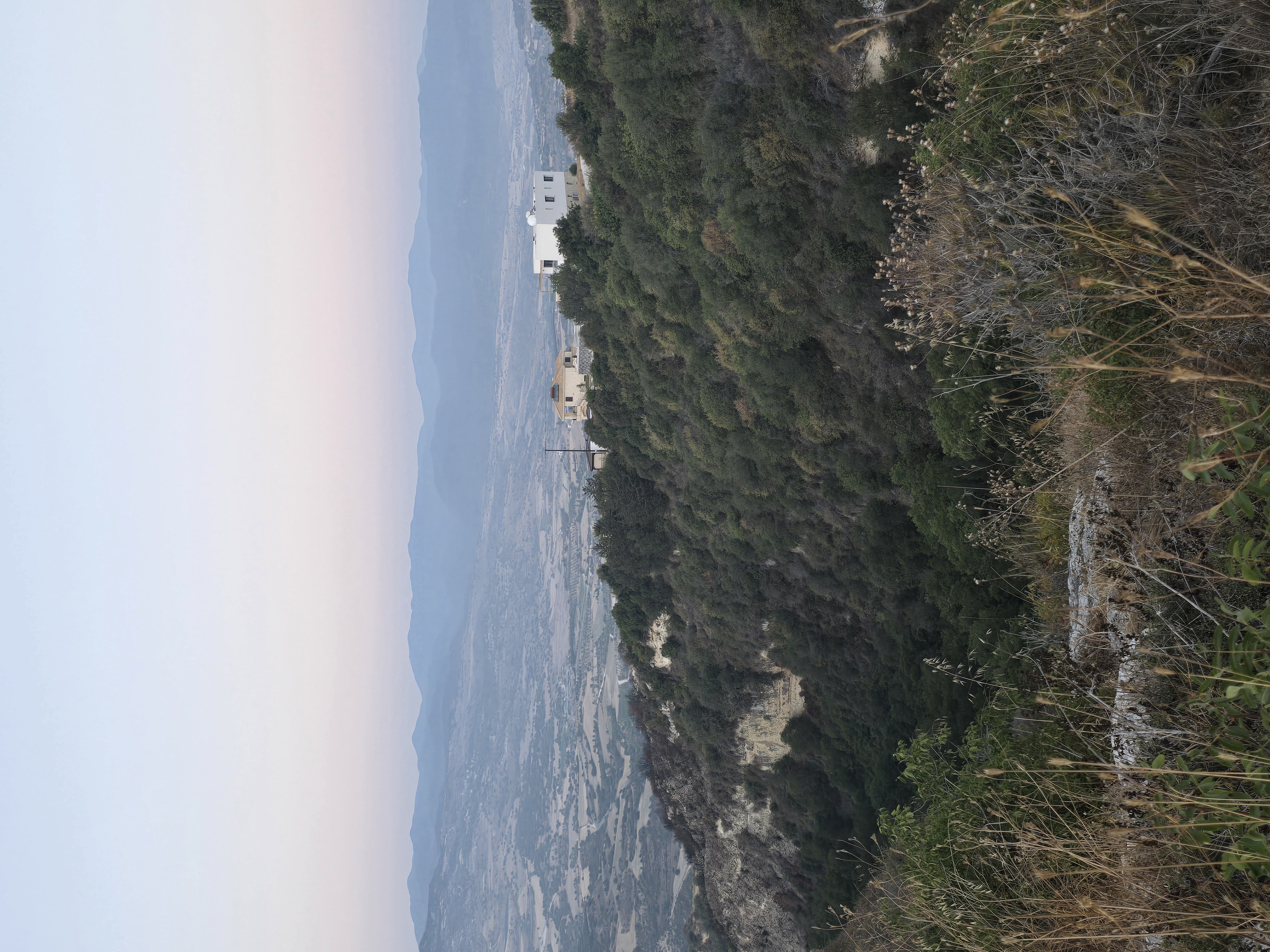 cyprus limassol modern cityscape